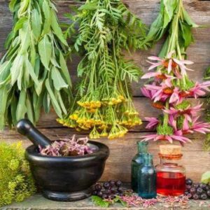 Είδη Βοτάνων